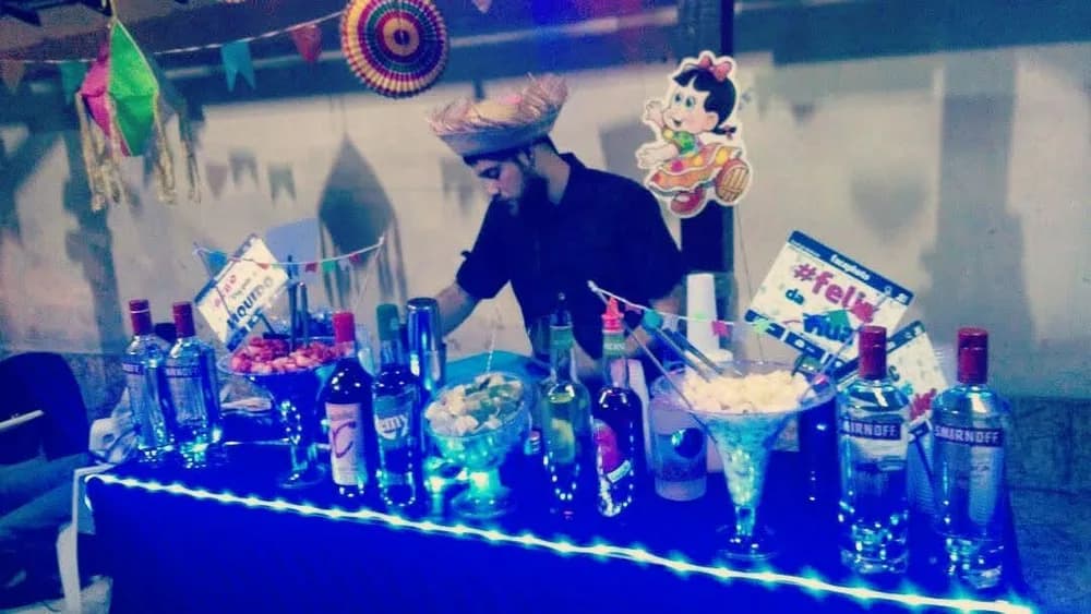 Barman, Bartender E Open Bar